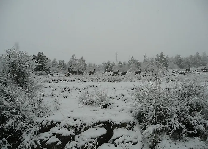 Casa Abruzzo * Караманико-Терме